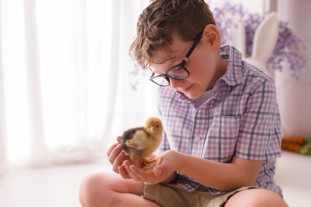 Little boy holds a live baby chic during Easter Mini Session at Holy City Babies Portrait Studio in Charleston, SC. 