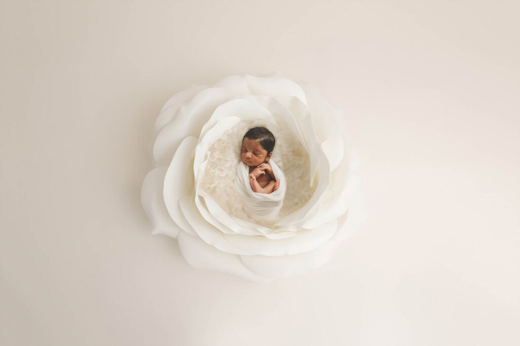 Newborn Baby posed for Newborn Portrait Session at Holy City Babies Portrait Studio in Charleston, SC. 