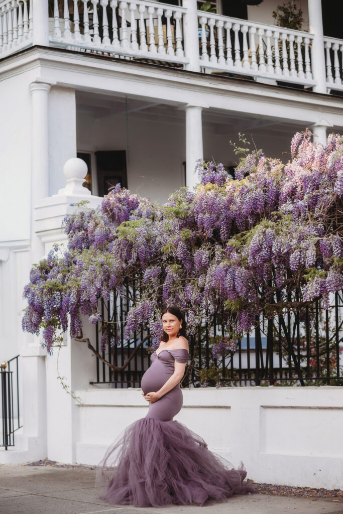 Expectant mother poses for Spring Maternity Portraits beneath beautiful purple wisteria blooms in downtown Charleston, SC.
